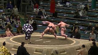 鳴滝 大阪場所　春場所2019　Narutaki  #narutaki #相撲　＃鳴滝　＃春場所