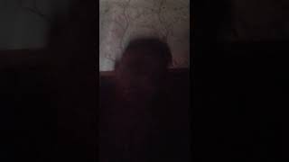 Video1