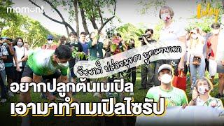 ชัชชาติ ปล่อยมุขฮา ทูตแคนาดา อยากปลูกต้นเมเปิล เอามาทำเมเปิลไซรัป | workpointTODAY