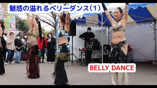 魅惑の溢れるベリーダンス　BELLY DANCE その1