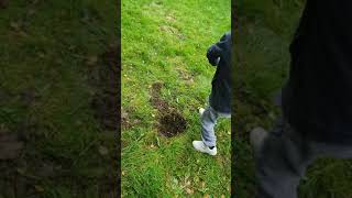 my son metal detecting  the garden he is nearly 7 and always digging and doing metal detecting