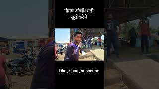 नीमच औषधि मंडी भाव | सुखा करेला | औषधीय फसलों के भाव । neemuch Mandi bhav #shorts