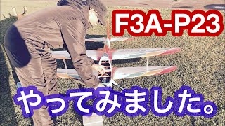 F3A P23 F3Aを今年から本格的にやってみようと言うことで始めたばかりの初心者です。