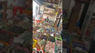 Shirt Pocket Video. Gem Market