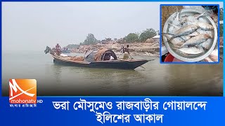 ভরা মৌসুমেও রাজবাড়ীর গোয়ালন্দে ইলিশের আকাল | Rajbari News | Mohona Tv