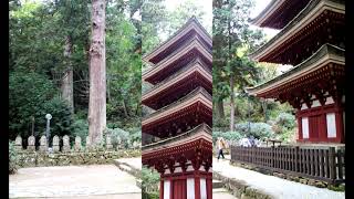 室生寺の紅葉奈良の山奥にある女人高野