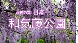 【岡山】和気藤公園と和気神社