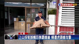 巨無霸蜂窩半個人高 婦採筍遭虎頭蜂螫傷－民視新聞