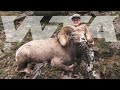 Once-In-A-Lifetime Bighorn Sheep Tag | Worldwide Trophy Adventures