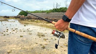 朝食にするので浅瀬の大物釣って食う【離島生活】