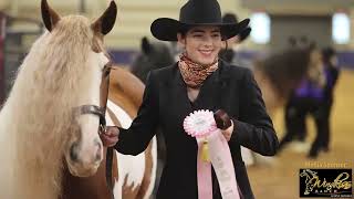 GORGEOUS GYPSY VANNER HORSES - National Championships 2022 - DAY 1 - Halter and Liberty classes