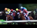 「速報」　秋　天皇賞 2015　（最強馬　ラブリーデイ） 　年間重賞6勝目