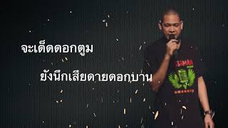 โจ๋ มีนบุรี - บัวตูมบัวบาน [Official Audio]