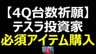 【テスラ投資家必携🚗】【4Q台数祈願】 テスラ投資家 必須アイテム購入【謹賀新年🎍】