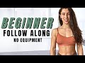 TRUE Beginner Calisthenics Workout No Equipment | Follow Along 15 Minutes