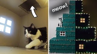 Huge Four Level Christmas Tree – a Maze For The Cat!!
