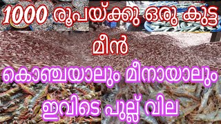 ഇവിടെ മീന് ഇത്രയും വില കുറവോ.? Kerala fishing Harbour ഇത് പൊളിക്കും