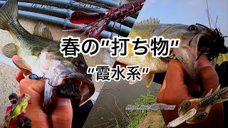 霞水系　2023 4月　打ち物も好調‼︎