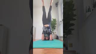 Headstand Variations | Yoga With Harsh | #yoga #headstand #shorts