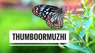 Thumboormuzhi | Hanging Bridge | Butterfly Garden 🦋 | Jasmin Nooruniza