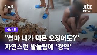 [백브리핑] 마른오징어를 맨발로 '꾹꾹'…어디서 만드나 봤더니 '충격' / JTBC 뉴스룸