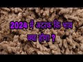 Adrak Bajar Bhav 2024 Part-1/ Ginger Market Rate 2024/ rubul jaapihajiyaa  #adrak  #ada  #ginger