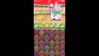 [パズドラ]第4回チャレダン Lv6 覚醒セレスパ