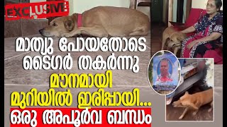 വൈറല്‍ വീഡിയോയിലെ നായ ഇതാ | The Dog Who loves His Master Deeply |  Viral Video | Kalakaumudi Online