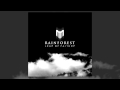 Rainforest - Leap Of Faith (Full Official Release) [Monochrome - Drum & Bass]