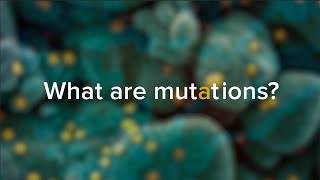 Understand COVID-19: Novel Coronavirus Mutations and Variants