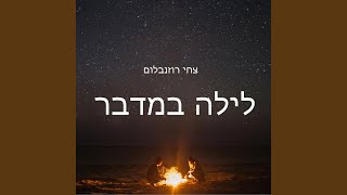 לילה במדבר