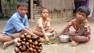 ଗେଣ୍ଡା ପତୁଆ ପଖାଳ ଭାତ/snail and rice eating/the tribal eating/tribal cooking