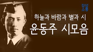 하늘과 바람과 별과 시｜윤동주 시모음｜시낭송 모음｜좋은글｜좋은시｜한국인이 좋아하는｜시 읽어주는 여자｜잠잘때 듣는｜오디오북 ASMR｜승현 유미숙｜감성소풍