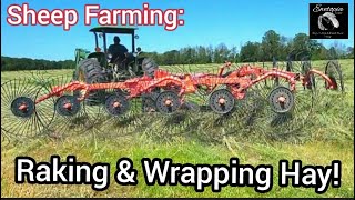 Sheep Farming: Raking \u0026 Wrapping Hay!/June 20, 2022