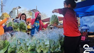 ลูกค้าติดใจผักสดซื้อแล้วซื้ออีกขายผักตลาดคลองถมหมู่บ้านช้าง