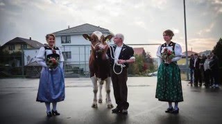 Munitaufe Mittelländisches Schwingfest 2016 Oberbalm