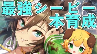 【ウマ娘/女性実況】アリエス杯本育成！育成まだ慣れない…！シービー育成する【わんこわんわん/STAR SPECTRE】