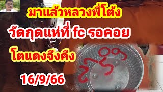 #หลวงพี่โต้งวัดกุดแห มาด่วนสายฟ้าแลบ โตแดงจืงคืง #16/9/66 เตรียมเฮ