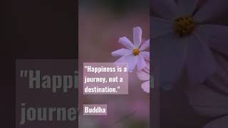 Way to be happy #happyinlife #happylife #quotes
