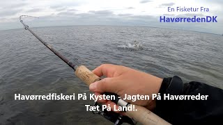 Havørredfiskeri På Kysten - Jagten På Havørreder Tæt På Land!.