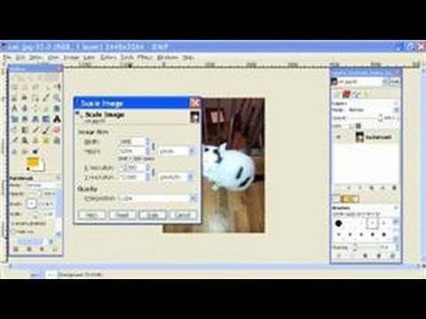 GIMP Tutorial : How to Adjust DPI in GIMP GIMP Tutorial : How to Adjust DPI in GIMP