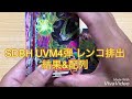 sdbh uvm4弾 稼働2日目レンコ排出結果 u0026配列