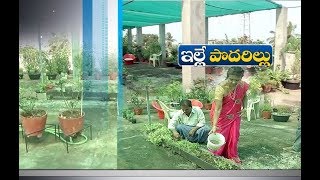 Living Home Made as Farm House | with Roof Top Farming | by These Couple | at Guntur's Amruthalur