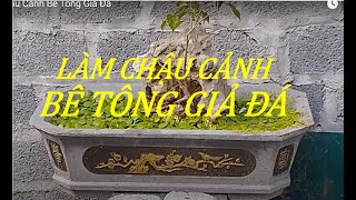 76. Làm Chậu Cảnh Bê Tông Giả Đá