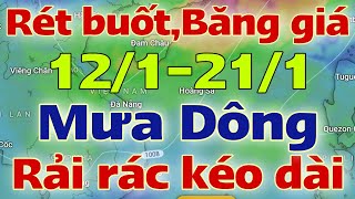 Dự báo thời tiết mới nhất ngày mai 12/1/2025 | dự báo bão mới nhất | thời tiết 3 ngày tới