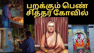 🌟சென்னையில் அதிசயம் நிறைந்த பறக்கும்பெண் சித்தர் சன்னதி🙏#சக்கரை அம்மா#திருவான்மியூர்#godisgold