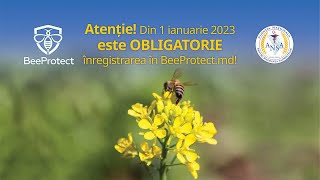 Utilizarea aplicației web BeeProtect.md