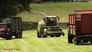 Fell Silage - with Claas 950 and Loads of Tractors!