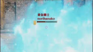 【norihanako】汚物と二戦しました。おもしろVer. 1.10【エルデンリング対人攻略ELDEN RINGPVP】