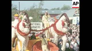 SPALDING TULIP FESTIVAL - IN COLOUR